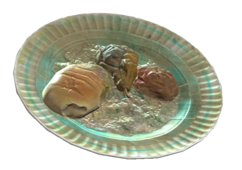 Moldy food.png