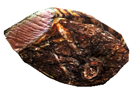 Deathclaw steak.png