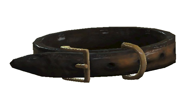 Fichier:Dog collar.png