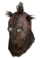 Casque de Wastehound de Raider.png