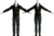 Tenue des Kings.png