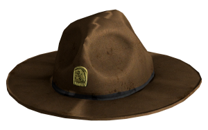 Chapeau de Ranger.png