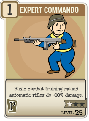 Commando expert (Fallout 76).png