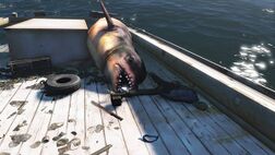 Une créature marine échouée sur un bateau.