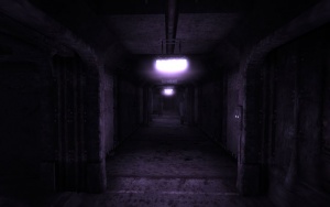 Vault 106 hallucination corridor.jpg