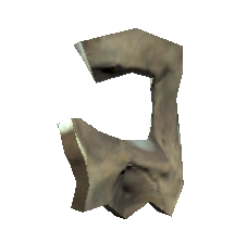 Fragment de crâne (Fallout 76).png