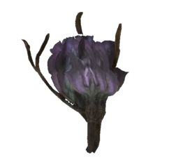 Fichier:Tato flower.png