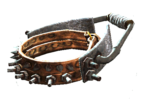 Fichier:Reinforced dog collar.png