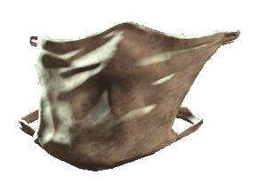 Fo4 surgical mask.png