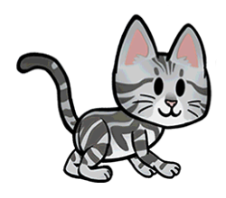 Fichier:FoS American shorthair.png