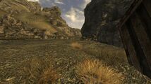 Au nord de Nipton