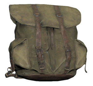 FO76 Standard backpack.png