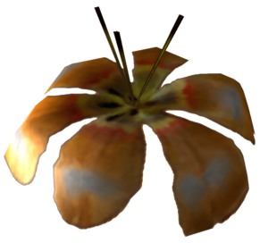 Fleur de broc.png