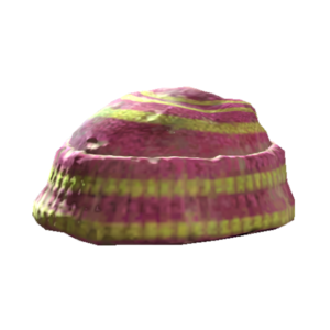 Fo4PackBeanie.png