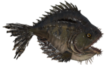Piranha de Kanawha