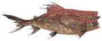 Poisson-brahmine